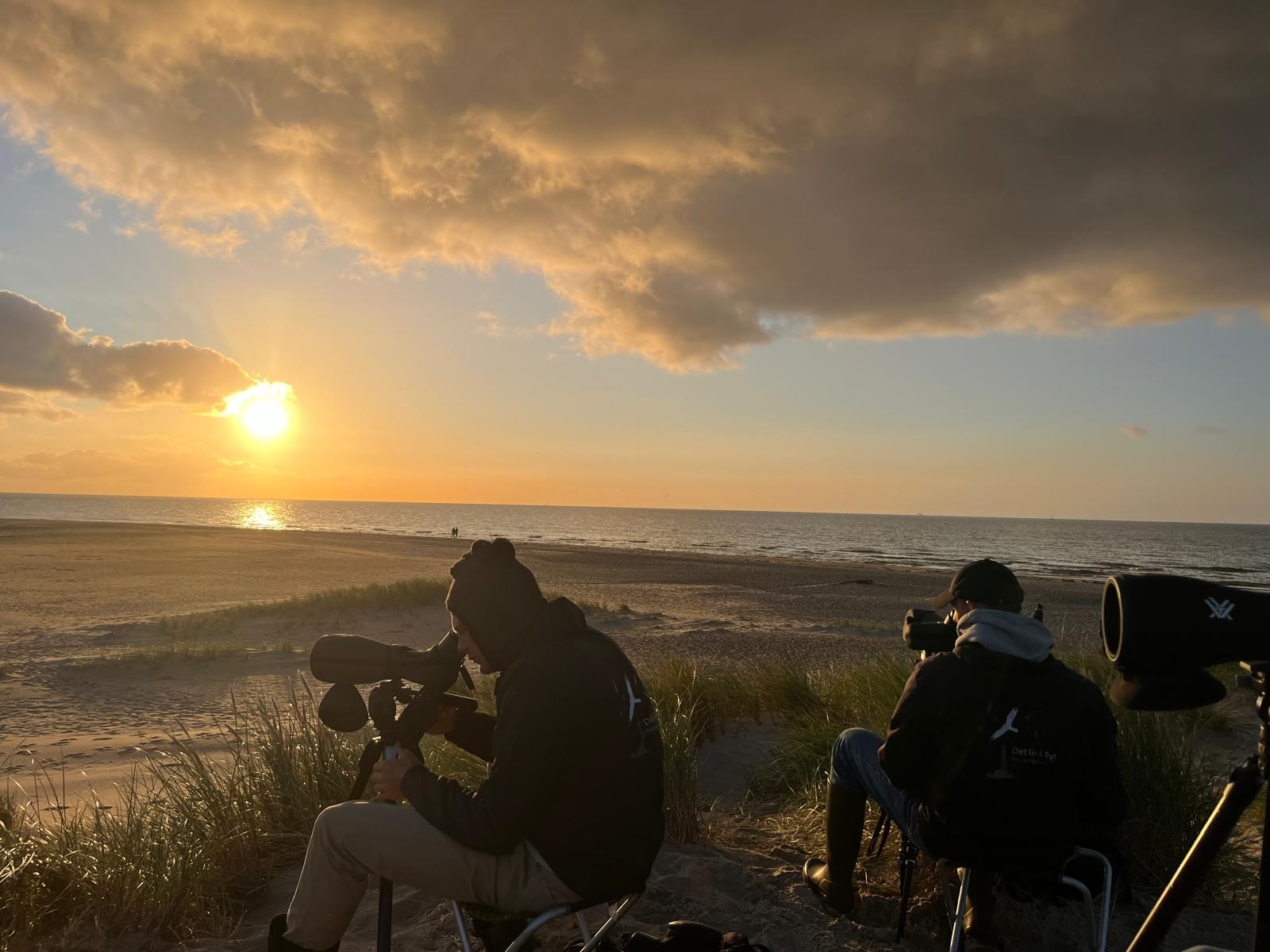 Morgentraek pa Grenen Skagen foto Skagen Fuglestation