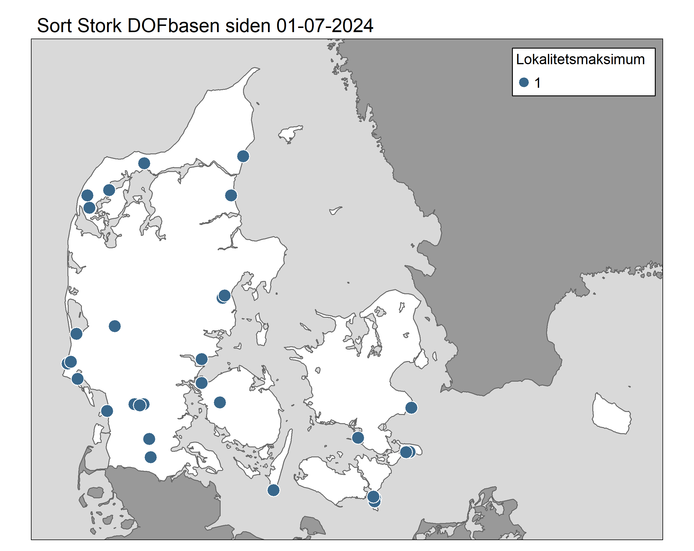 Sort Stork observationer DOFbasen siden 01 07 2024