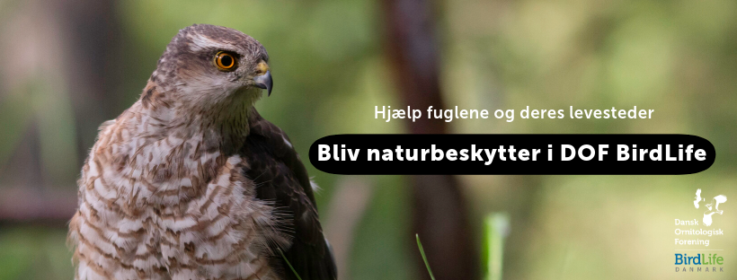 Naturbeskytter banner