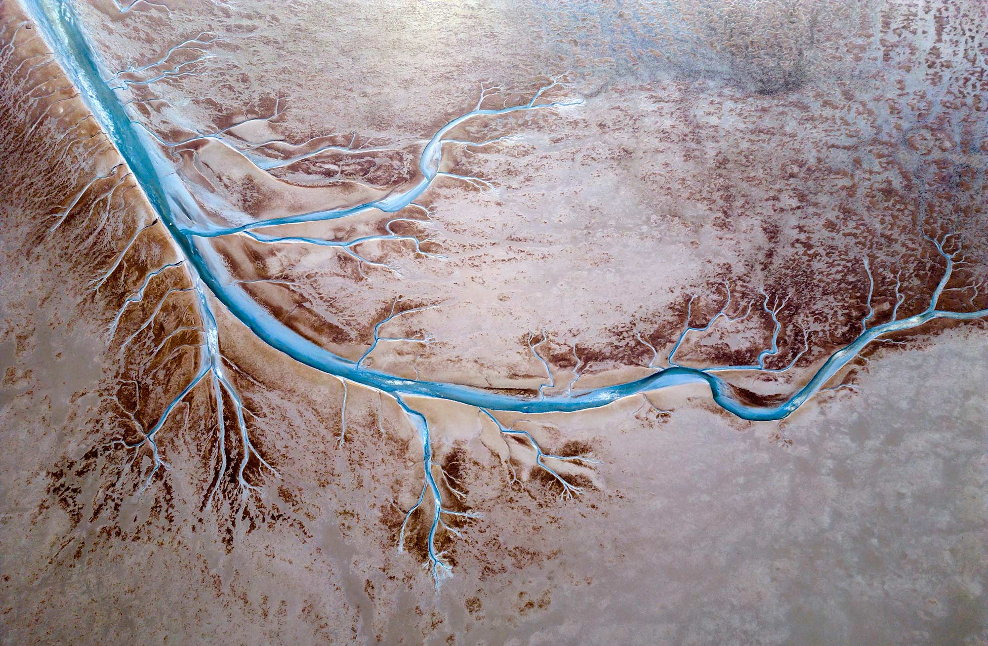 Fugle i naturen - DOF BirdLife nyheder